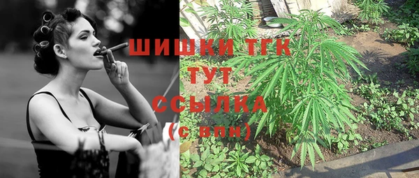 ешки Арсеньев