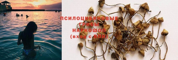 ешки Арсеньев