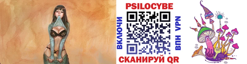 Купить закладки  Моршанск  Псилоцибиновые грибы GOLDEN TEACHER 